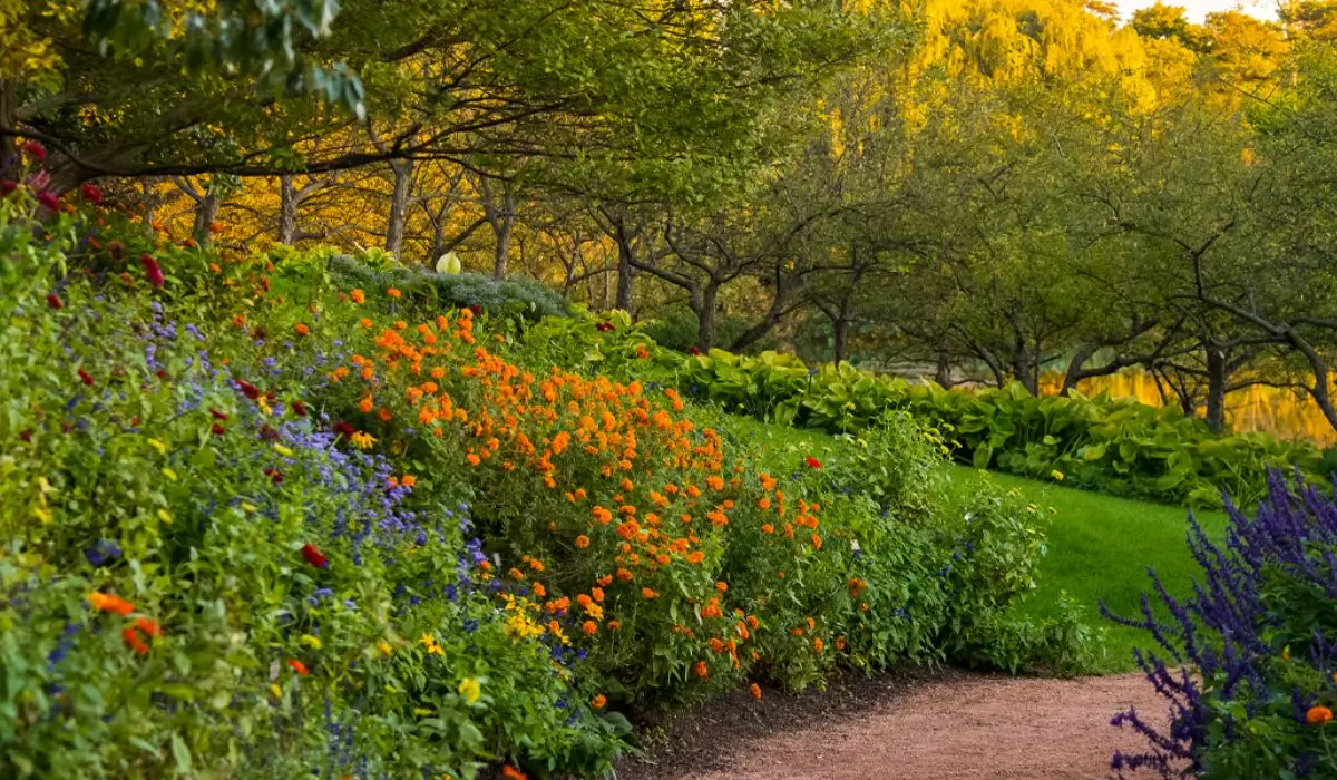 Chicago Botanic Garden pathway with vibrant flowers, an ideal location for wedding planning and outdoor ceremonies.