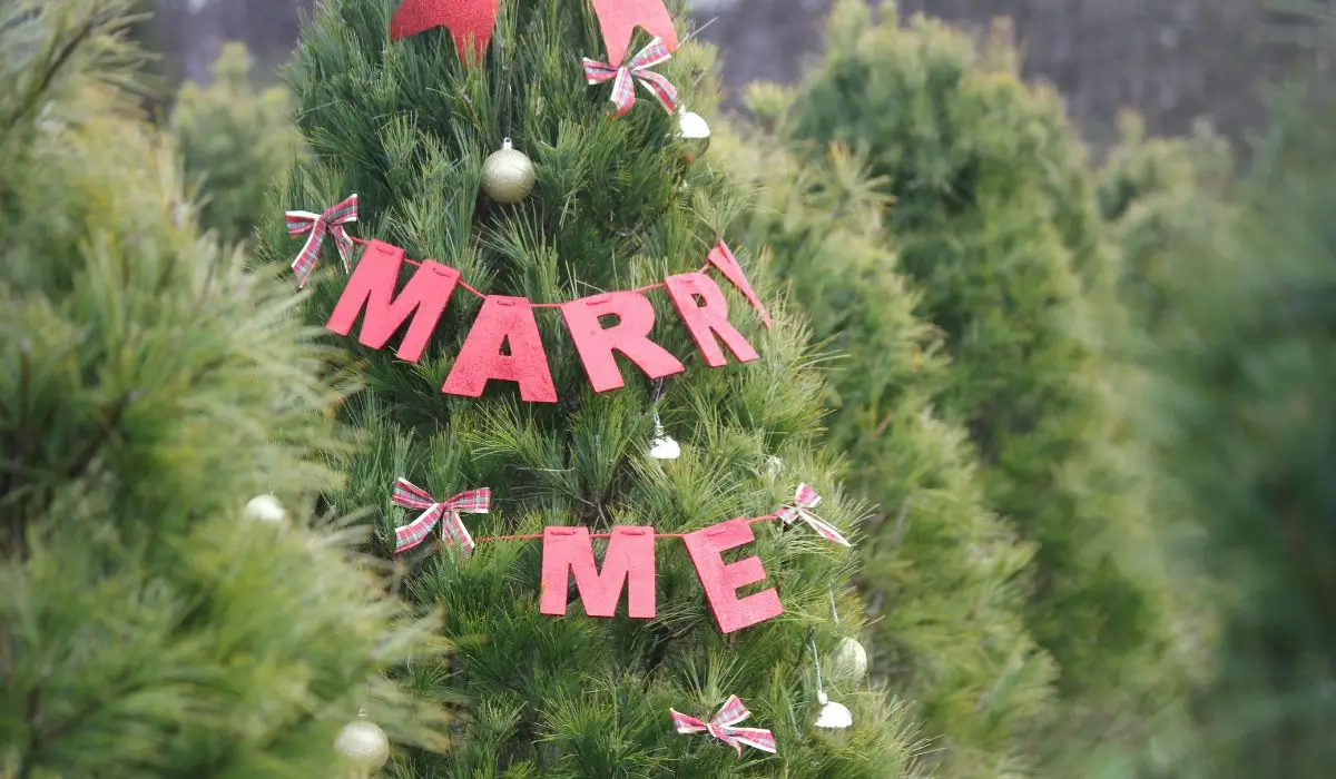 Holiday engagement season proposal scene with a decorated Christmas tree featuring 'Marry Me' sign and festive ornaments.