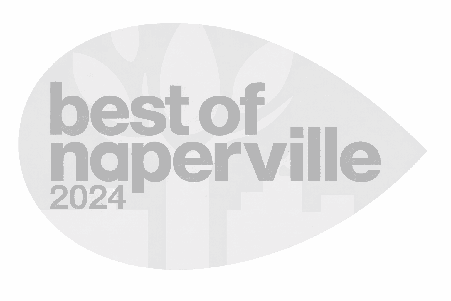 2024 best of Naperville wedding planner