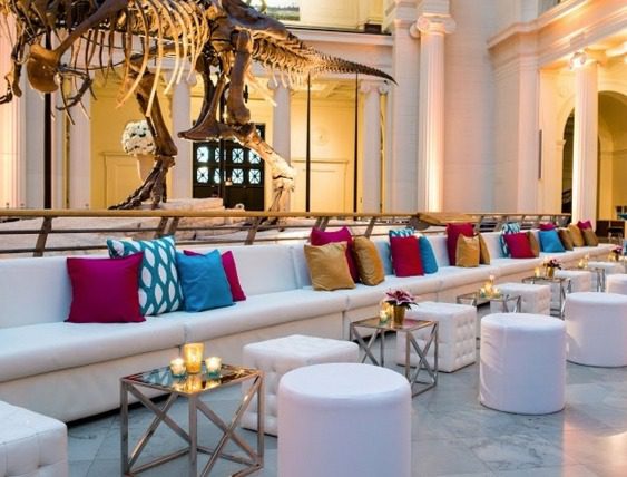 Stylish museum lounge setup with white sofas, colorful pillows, and a dinosaur skeleton exhibit in the background.