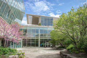 Modern Chicago venue with glass façade, pink blossoms, and stone path for serene springtime gatherings.
